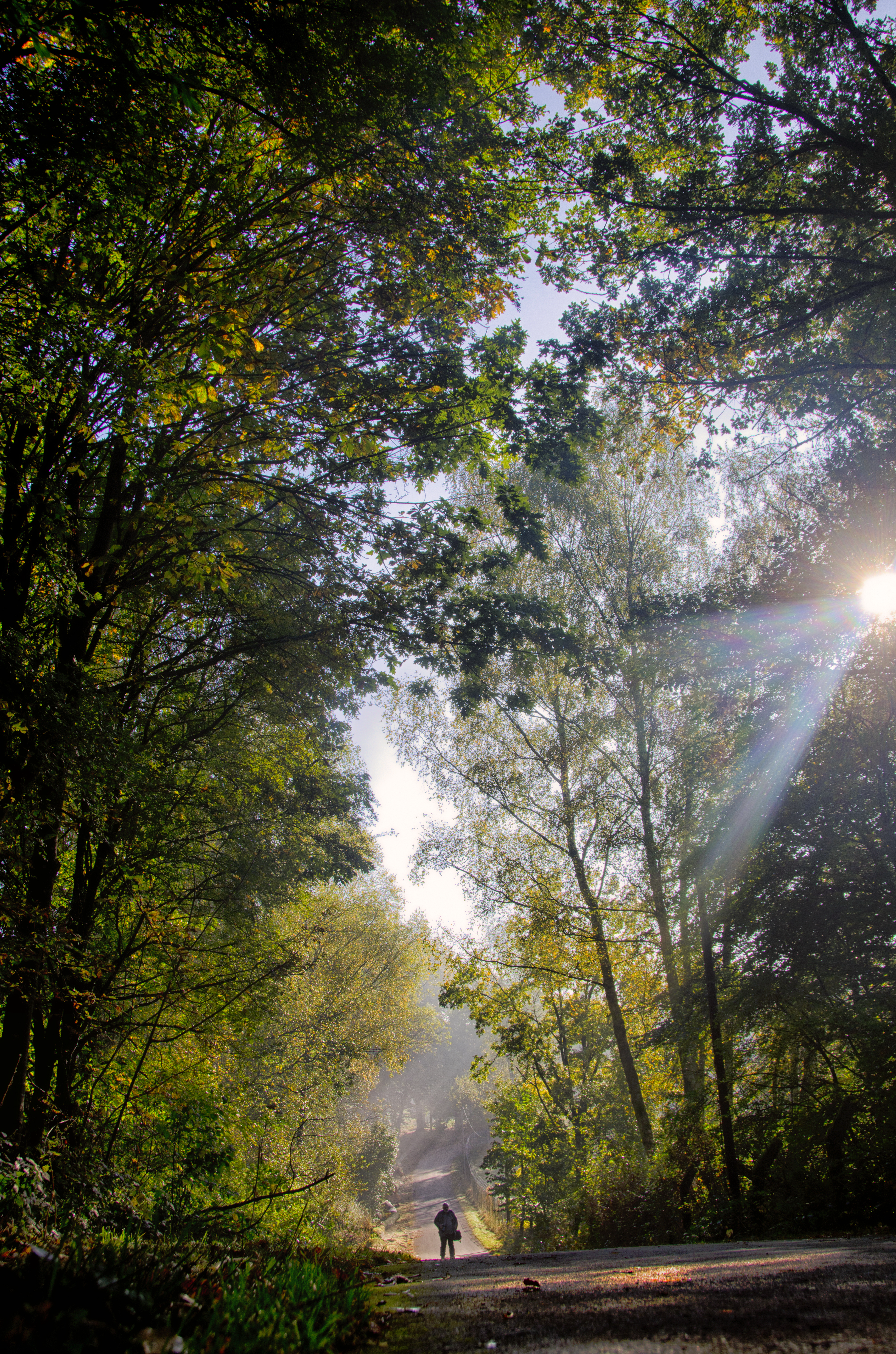 Photo de Frédéric Grass