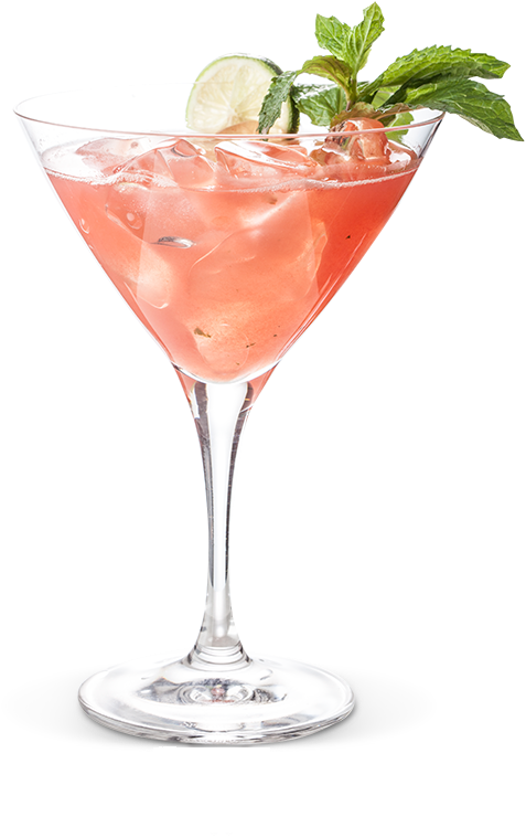 Cocktail rose